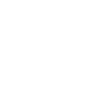 Optimal mode of transportation and costs